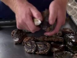 Employee removing abalone from their shells. Stock Footage