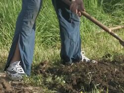 NTSC:Garden Work Stock Footage