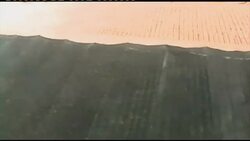 Army discovers largest marijuana plantation ever in Mexico News Clip