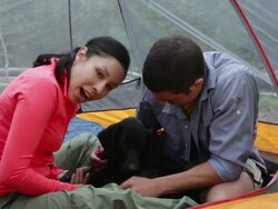 MS Young couple camping with their dog / Santa Fe, New Mexico, United States Stock Footage