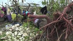 CLEAN : Haiti begins cleanup after deadly Hurricane Matthew News Clip