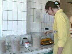 MS Woman working at Warsteiner AG laboratory / Warstein, North Rhine Westphalia, Germany Stock Footage