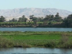 WS, ZO, PAN, Nile River, Egypt Stock Footage