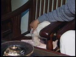 GERMANY: POWER RANGERS CRITICISED FOR ENCOURAGING AGGRESSION Instructional Video