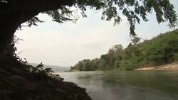 Wide shot down a river from riverbank Stock Footage