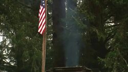 Smoke rises from a chimney past a United States flag on the roof of a house. Stock Footage