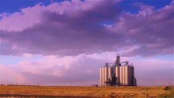 Grain Elevator and Freight Train Stock Footage