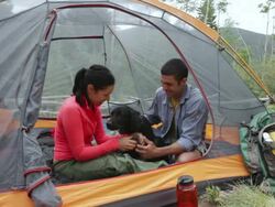 MS Young couple camping with their dog / Santa Fe, New Mexico, United States Stock Footage