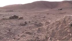 US Troops Hold Military Exercises in Djibouti Instructional Video