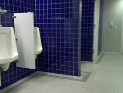 Blue tiled walls border urinals and stalls in a public restroom. Stock Footage