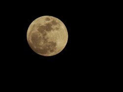 FULL MOON RISING- TIME LAPSE Stock Footage