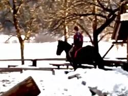HD: Horseback Riding Stock Footage