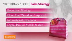 A Peek Behind L Brands' 3rd-Qtr Earnings & Strategy News Clip