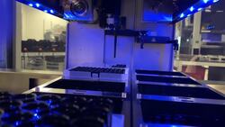 COVID-19 vaccine testing in people gets underway Instructional Video