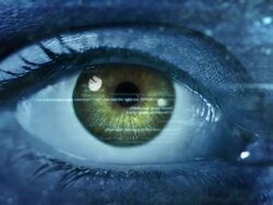 Female eye with program code. Futuristic. Technology. Stock Footage