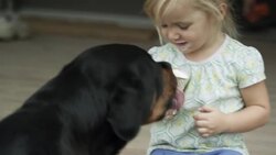 Dog licks the icecream cone of a young girl on the porch. Stock Footage