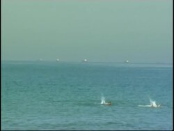 Japanese oil tanker fired on in suspected pirate attack, offshore GVs News Clip