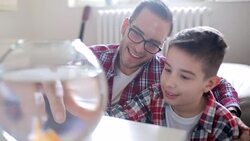 Happy family with pets Stock Footage