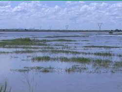 Heavy rains increase crisis fears in flood-ravaged nation Instructional Video