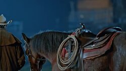 SLO MO DS Rancher leading horse to stables at night Stock Footage