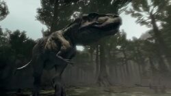 A Tyrannosaurus Rex stalks through a forest. Stock Footage