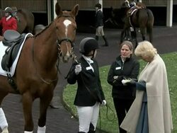 Duchess of Cornwall Feeding Racehorse News Clip
