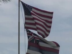 Hawaii State and USA Flags Stock Footage