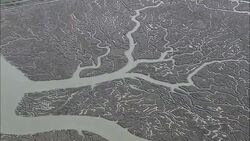 Brightlingsea And Estuary  - Aerial View - England, Essex, Tendring District, United Kingdom Stock Footage