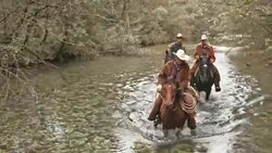 DS Three people riding horses across river Stock Footage