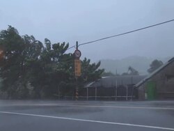 Hurricane Winds Lash Road Car Driving. Stock Footage