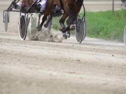 HD SUPER SLOW MO: Harness Racing Stock Footage