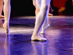 art of ballet Stock Footage