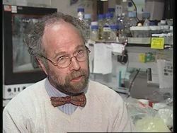 UK: SCIENTISTS IDENTIFY GENE THAT COULD LEAD TO CANCER PREVENTION News Clip