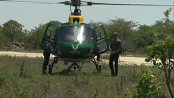 Prince Harry Visits Kruger National Park News Clip