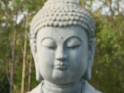 LS CU Stone Buddha statue and Bamboo forest/xian,shaanxi,China Stock Footage