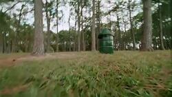 POV of a dog sniffing the ground as he approaches a green garbage barrel. Stock Footage