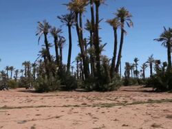 Good Looking Young Couple ride Quad Bikes in desert Stock Footage