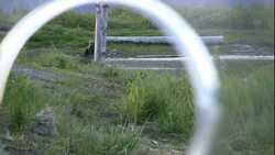 A dummy sits in a bear box and watches. Stock Footage