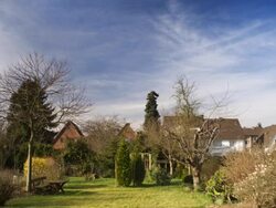 Time-lapse Garden Stock Footage