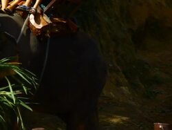 Asia elephant with rider Stock Footage