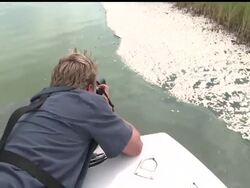 Thousands more dead fish have turned up in Plaquemines Parish, the second large such kill in the area in the past few days. News Clip