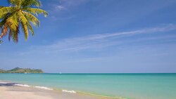 Tropical beach Stock Footage