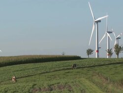 WS Wind turbines / KÃƒÂ¶rrig, Saargau, Rhineland-Palatinate, Germany Stock Footage