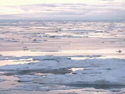 Arctic and Northwest Passage Ice Floes News Clip