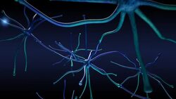 Neuron signals Stock Footage