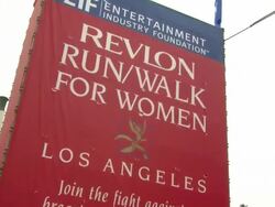 16th Annual EIF Revlon Run/Walk For Women Stock Footage