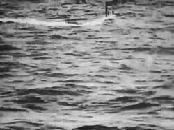 WWI submarine warfare Stock Footage