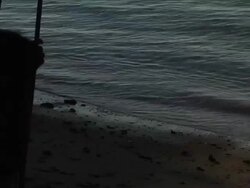 Female Silhouette Swinging by the Shore - Close-up Stock Footage