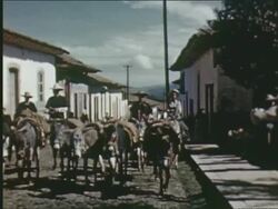 Montage city streets and monuments Stock Footage