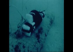 RR8046B EGYPT THE SUEZ CANAL TUNNEL News Clip